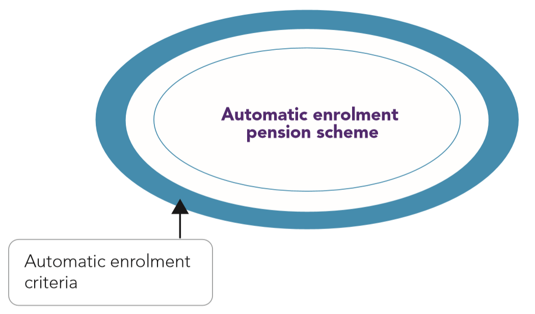 AE Detailed guide 4-3: Automatic enrolment criteria