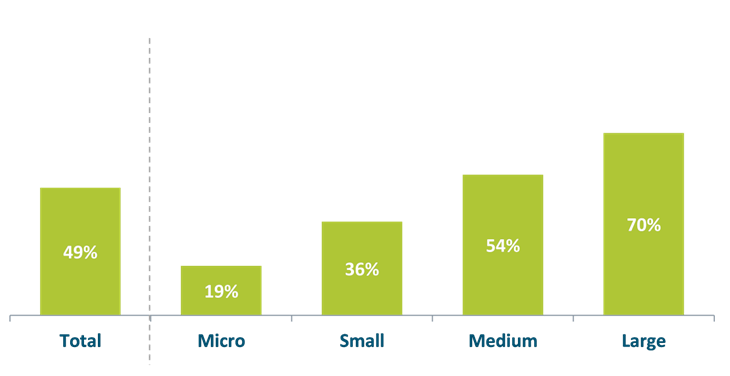 Bar chart showing a total proportion of 49%, 19% of micro schemes, 26% of small, 54% of medium and 70% of large schemes allocate time and resources.