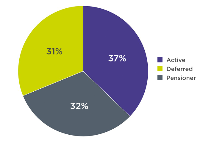 Balance of membership types in public service schemes